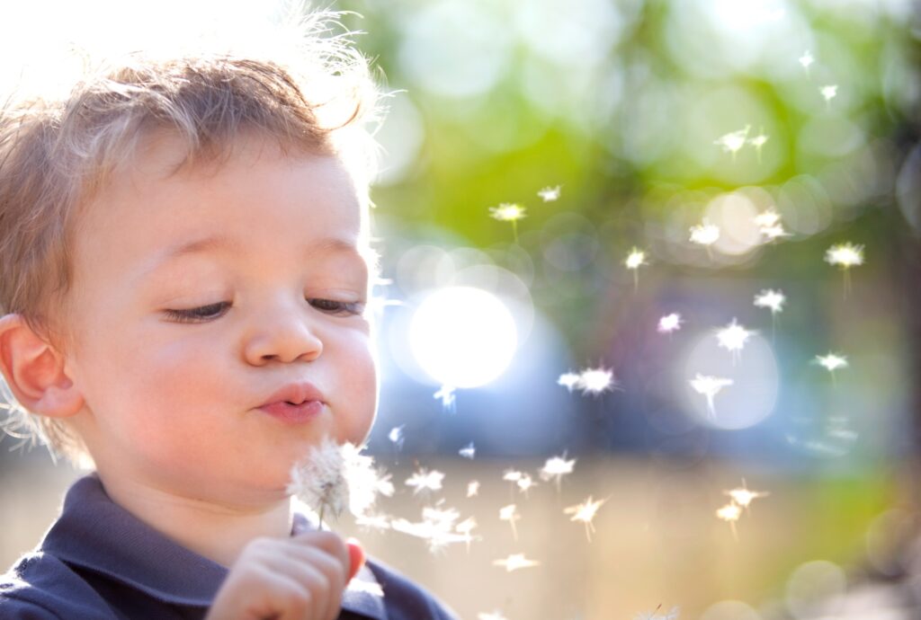 happysmilingchildplayingwithdandelionoutdoorinagarden Ein kleines Kind pustet im Freien konzentriert die Samen eines Löwenzahns in den Wind, während die Schirmchen im Sonnenlicht tanzen.